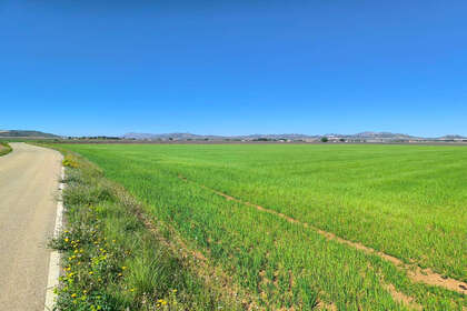 Percelen/boerderijen verkoop in Yecla, Murcia. 