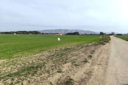 Plot for sale in Villena, Alicante. 