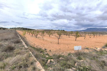 Percelen/boerderijen verkoop in Pinoso, Alicante. 
