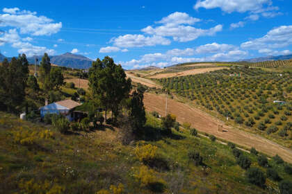 Fincas verkoop in Alora, Málaga. 