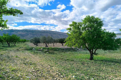 Plot for sale in Caudete, Albacete. 