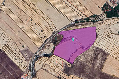 Plot for sale in Alicante. 