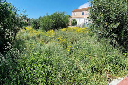 Parcelle/Propriété vendre en Torrevieja, Alicante. 