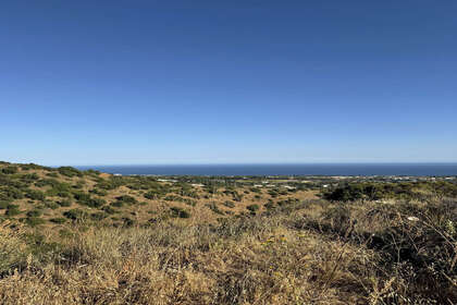 Enredo venda em Sierra Blanca, Marbella, Málaga. 