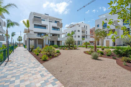 Appartamento 1bed vendita in Torre Pacheco, Murcia. 
