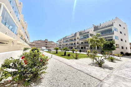 Apartamento venta en Los Dolses, Orihuela, Alicante. 