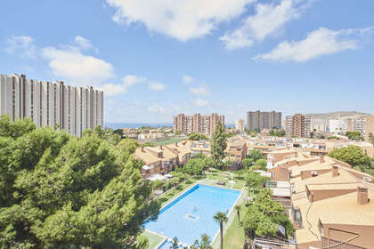 Apartamento venta en Alicante/Alacant. 