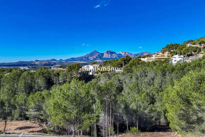 Parcela/Finca venta en Callosa d´En Sarrià, Alicante. 