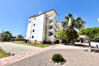 Apartamento venta en Villamartín, Alicante. 