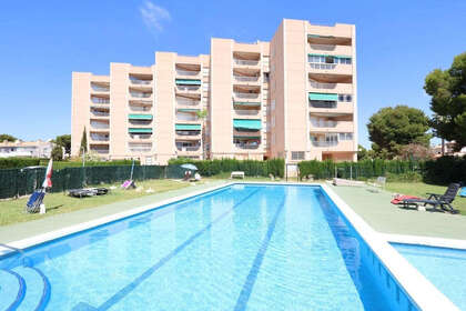 Apartamento venta en Zenia, La, Alicante. 