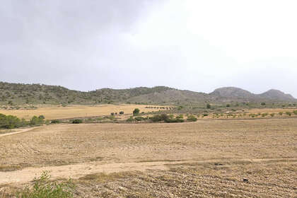 Grundstück/Finca zu verkaufen in Yecla, Murcia. 