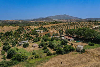 Ranch vendita in Coín, Málaga. 
