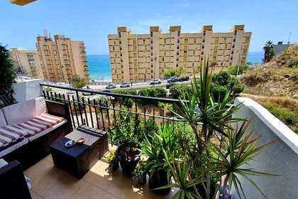 Appartamento 1bed vendita in Cartajima, Málaga. 