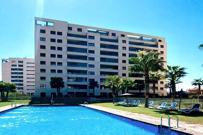 Attico vendita in Punta Prima, Alicante. 