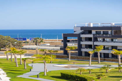 Attico vendita in , Orihuela, Alicante. 