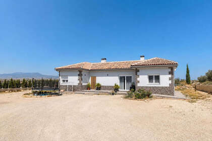 Townhouse vendita in Pinoso, Alicante. 