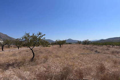 Terreno vendita in Murcia. 