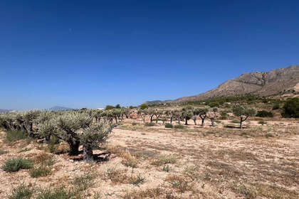 Terreno vendita in Murcia. 