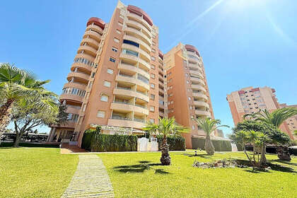 Appartamento 1bed vendita in Dehesa de Campoamor, Alicante. 