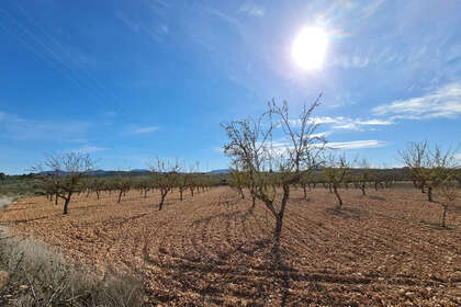 Grund til salg i Benitachell/Poble Nou de Benitatxell (el), Alicante. 