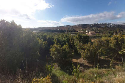 情节 出售 进入 Estepona, Málaga. 