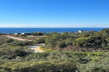 Parcelle/Propriété vendre en Altos de Los Monteros, Marbella, Málaga. 