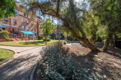 Apartmány na prodej v Málaga. 