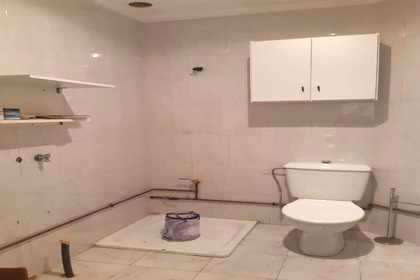 toilet