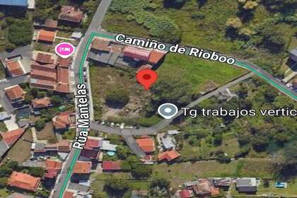 lote 