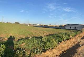 Terreno vendita in Almendralejo, Badajoz. 