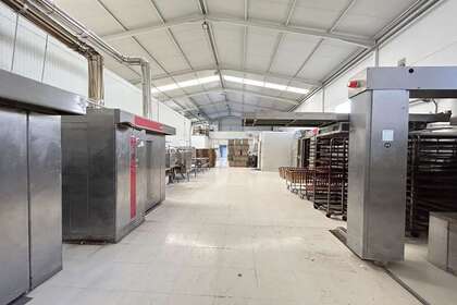 Warehouse for sale in Almendralejo, Badajoz. 