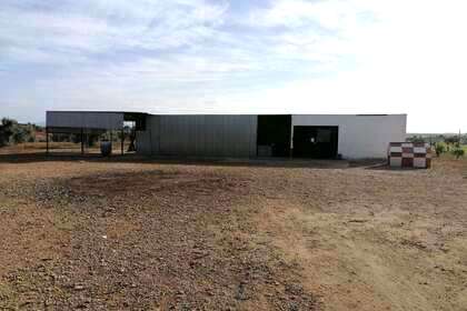 Plot for sale in Almendralejo, Badajoz. 