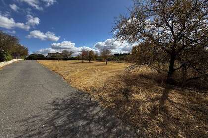 Terreno urbano venta en Almendralejo, Badajoz. 