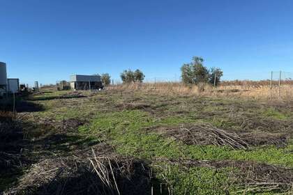 Landdistrikter / landbrugsjord til salg i Almendralejo, Badajoz. 