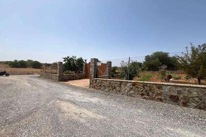 Городской участок Продажа в Almendralejo, Badajoz. 