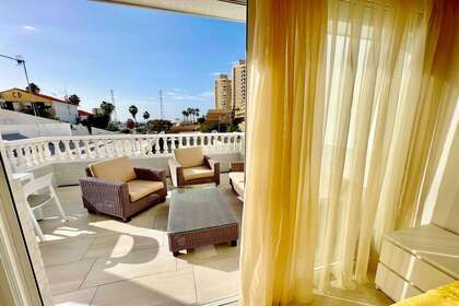 terrazza