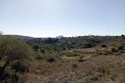 Rural/Agricultural land for sale in Benissa, Alicante. 