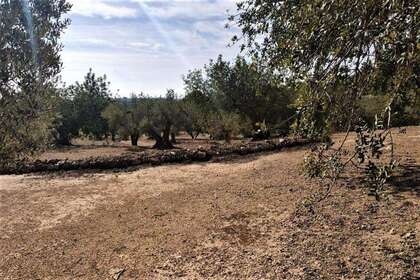 Country house for sale in Ametlla de Mar, l´, Tarragona. 