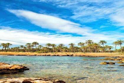 Apartment for sale in Torrevieja, Alicante. 
