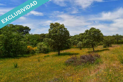 Rural/Agricultural land for sale in Valverde del Fresno, Cáceres. 