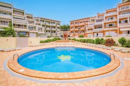 Appartamento 1bed vendita in Adeje, Santa Cruz de Tenerife, Tenerife. 