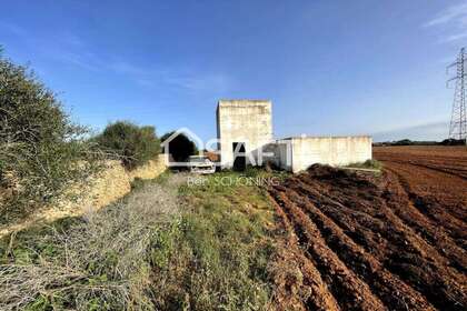 Landdistrikter / landbrugsjord til salg i Ciudadela / Ciutadella de Menorca, Baleares (Illes Balears), Menorca. 