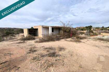 Terras Agrícolas / Rurais venda em Derramador (elche) (pda), Alicante. 