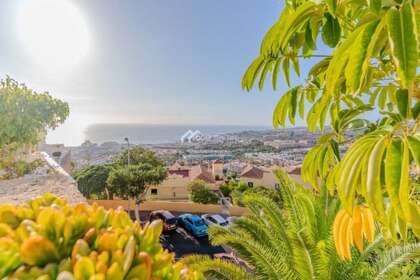 Appartamento 1bed vendita in Adeje, Santa Cruz de Tenerife, Tenerife. 