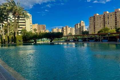 Logement vendre en Alicante/Alacant. 