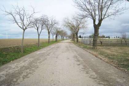 Rural/Agricultural land for sale in Villarrubia de Santiago, Toledo. 