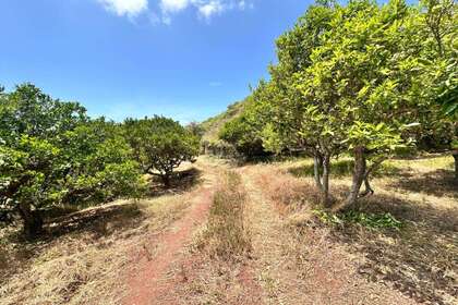 Landdistrikter / landbrugsjord til salg i Teror, Las Palmas, Gran Canaria. 