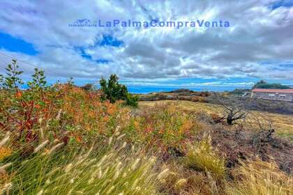 Městský pozemek na prodej v Paso, El, Santa Cruz de Tenerife, La Palma. 