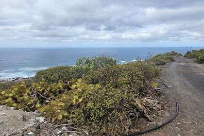 Rural/Agricultural land for sale in Arucas, Las Palmas, Gran Canaria. 