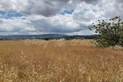 Rural/Agricultural land for sale in Yecla, Murcia. 